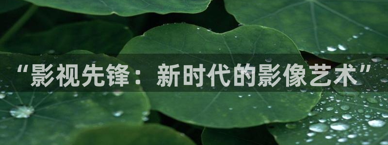 投资私人影吧