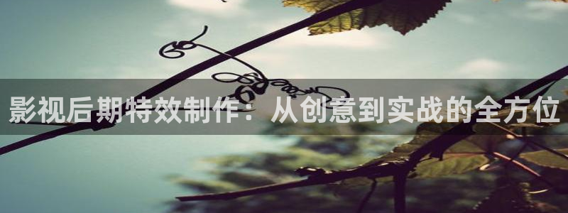 私人影院免费看电影