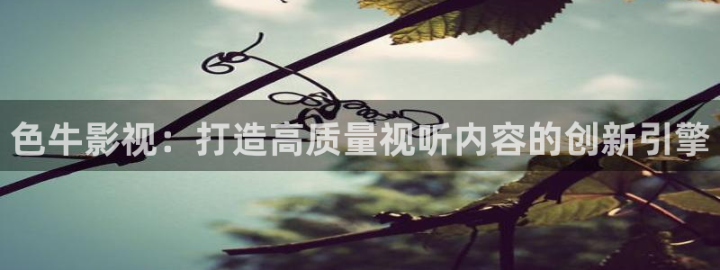 午夜私人影院免费看片