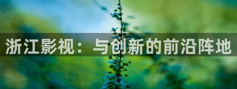 私人电影91tv影院