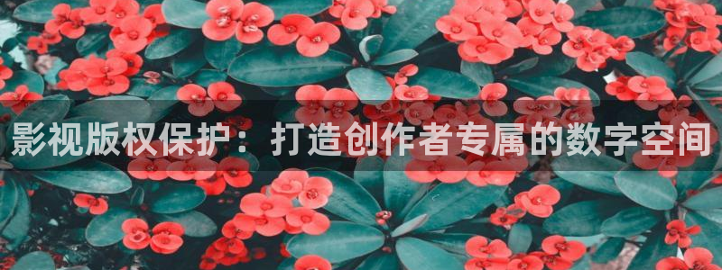 私人影院是看什么电影呢