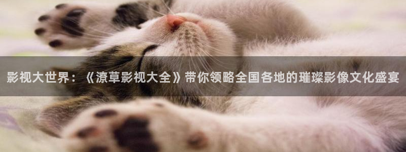 私人影院视频观看